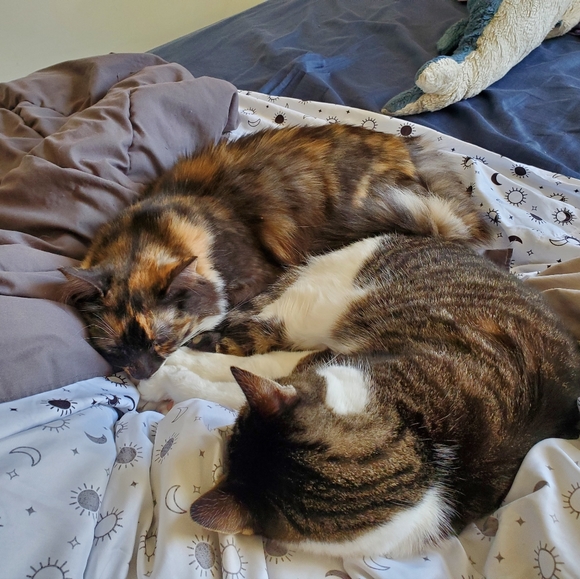 Meet your Posher - Picture 1 of 1